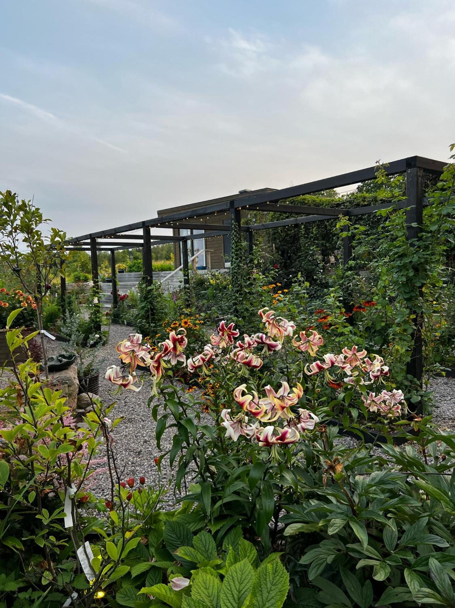 Vaettervy Glamping- Ravinstuga Lodge