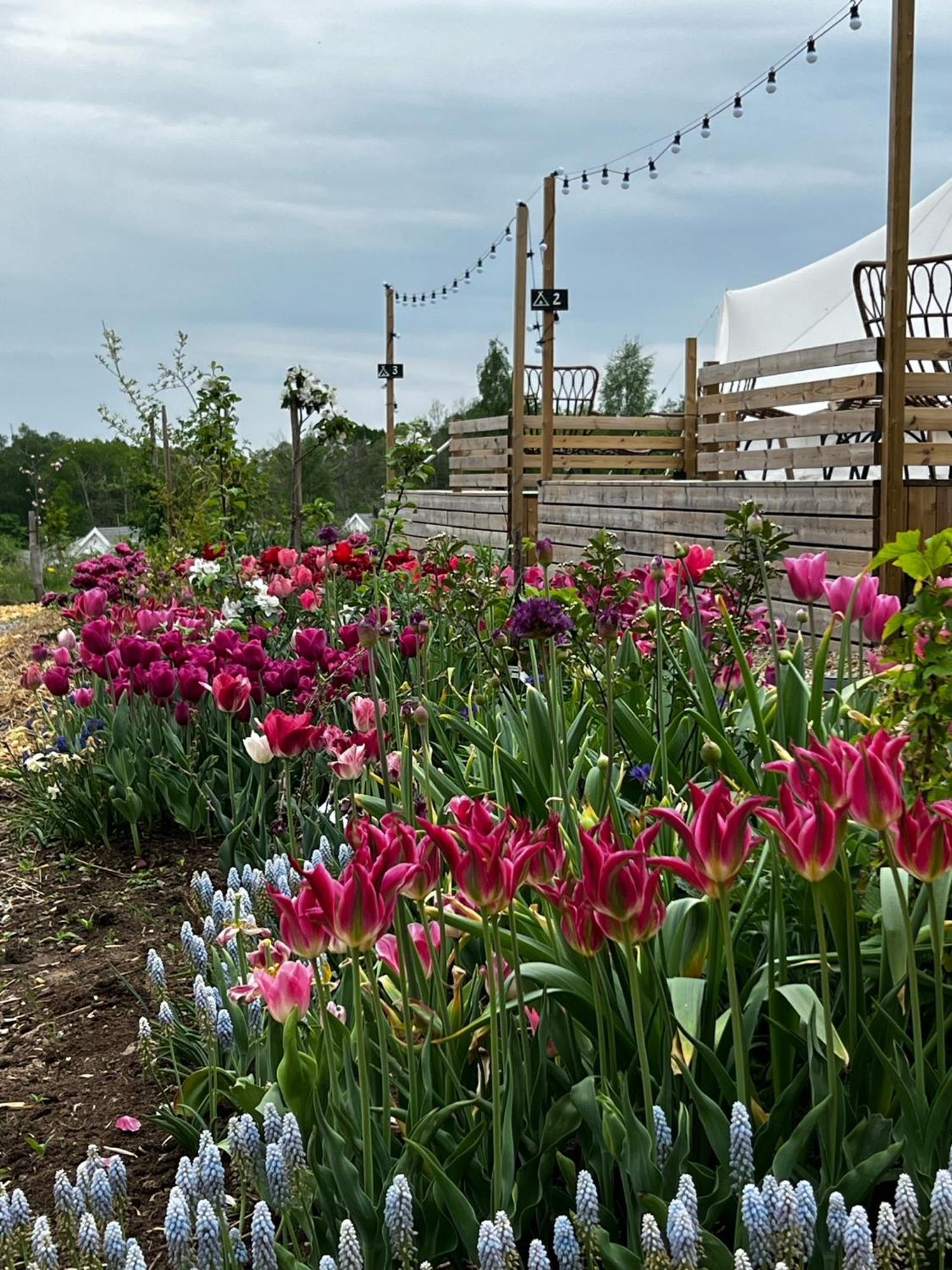 Lodge Vaettervy Glamping- Ravinstuga *